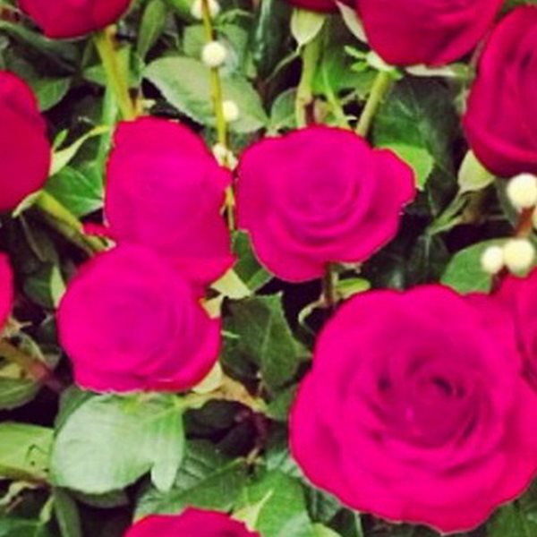 Η Ελληνίδα παρουσιάστρια δέχτηκε μια αγκαλιά τριαντάφυλλα από τον σύντροφό της