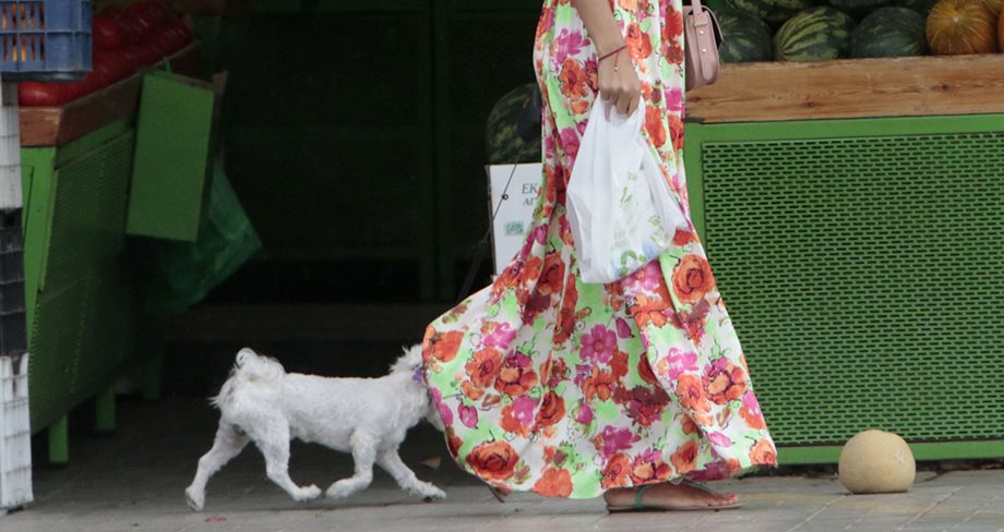Η νιόπαντρη celebrity πηγαίνει στο μανάβη με το σκυλάκι της, αποδεικνύοντας ότι είναι μια καλή νοικοκυρά