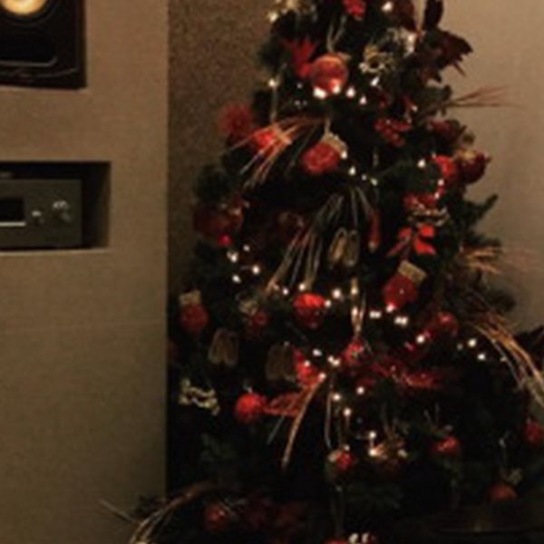 Το νιόπαντρο ζευγάρι της ελληνικής showbiz στόλισε το χριστουγεννιάτικο δέντρο του!