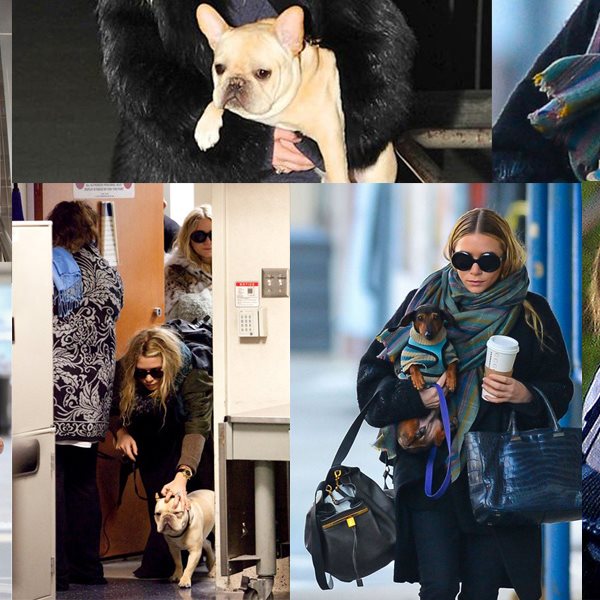 Ashley - Mary Kate Olsen: Οι δίδυμες stars με τα σκυλάκια τους 