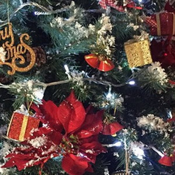 H Ελληνίδα εγκυμονούσα μόλις στόλισε το χριστουγεννιάτικο δέντρο της με τον σύντροφό της 