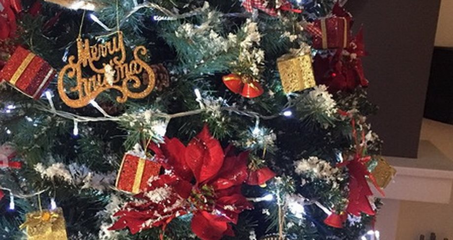 H Ελληνίδα εγκυμονούσα μόλις στόλισε το χριστουγεννιάτικο δέντρο της με τον σύντροφό της 