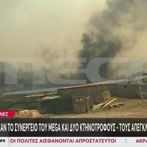 Αλεξανδρούπολη: Φλόγες περικύκλωσαν το συνεργείο του Mega - Η άμεση επέμβαση της πυροσβεστικής
