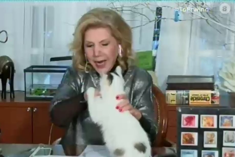 Το Πρωινό: Το γατάκι της Λίτσας Πατέρα της “επιτέθηκε” on air 