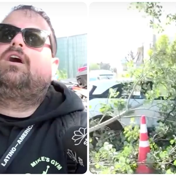 Νικόλας Ράπτης: Παραλίγο ατύχημα on camera - Η στιγμή που μεγάλο κλαδί δέντρου έπεσε κοντά του ενώ έδινε συνέντευξη