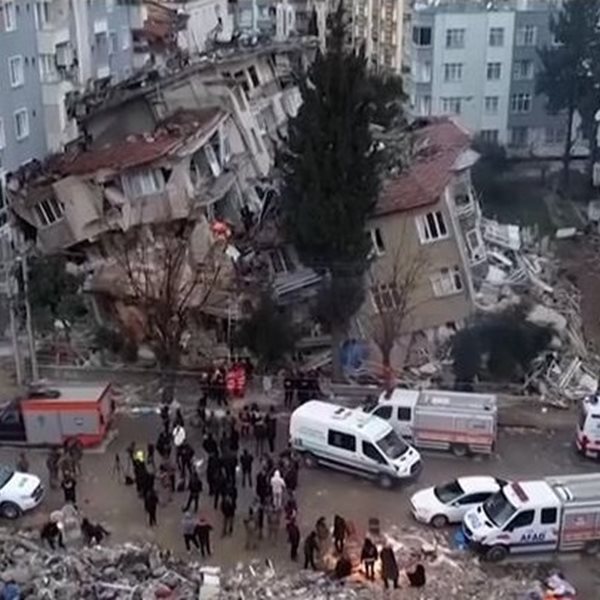 Σεισμός Τουρκία: Αυτός είναι ο σκύλος που βγήκε ζωντανός από τα συντρίμμια μετά από 23 μέρες (Βίντεο)