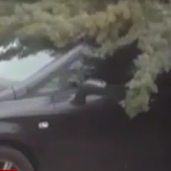 Χρήστος Βαλαβανίδης: Δέντρο έπεσε στο αυτοκίνητο του από την κακοκαιρία