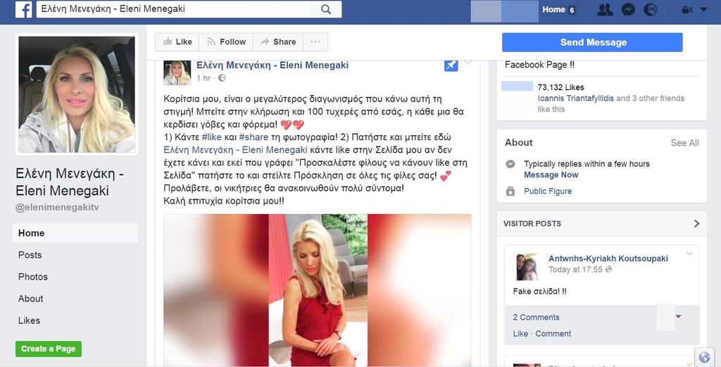Το ψεύτικο προφίλ της Ελένης Μενεγάκη στο facebook