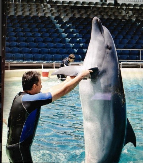 Ο Γιώργος Λιάγκας ποζάρει με ένα δελφίνι