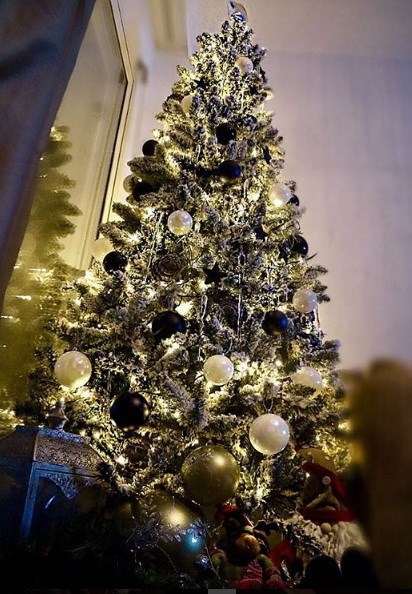 Μαριάντα Πιερίδη: Έτσι στόλισε το χριστουγεννιάτικο δέντρο στο σπίτι της στη Γλυφάδα