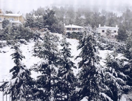 Χιονισμένο τοπίο από το σπίτι της Τατιάνας Στεφανίδου